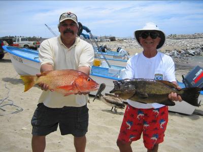 Yellow Snapper & Leopard Grouper